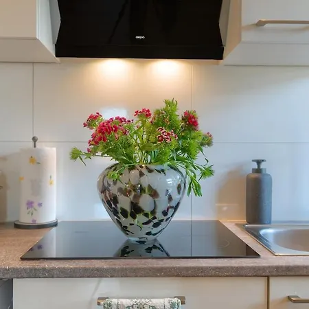 Apartment Chic Modern Design Bright & Minimalist Near Duesseldorf And Koeln